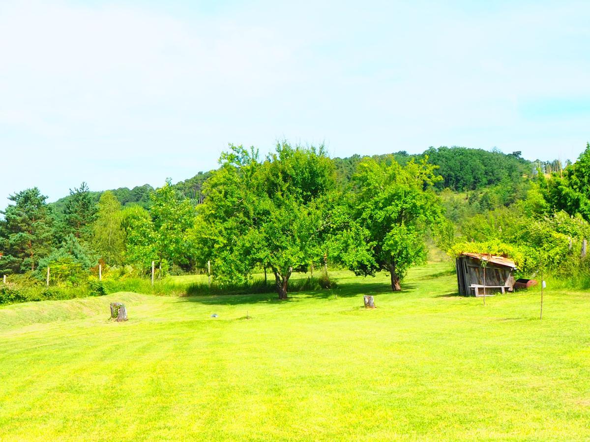 La Belle Verte 3* Grignols (Dordogne)